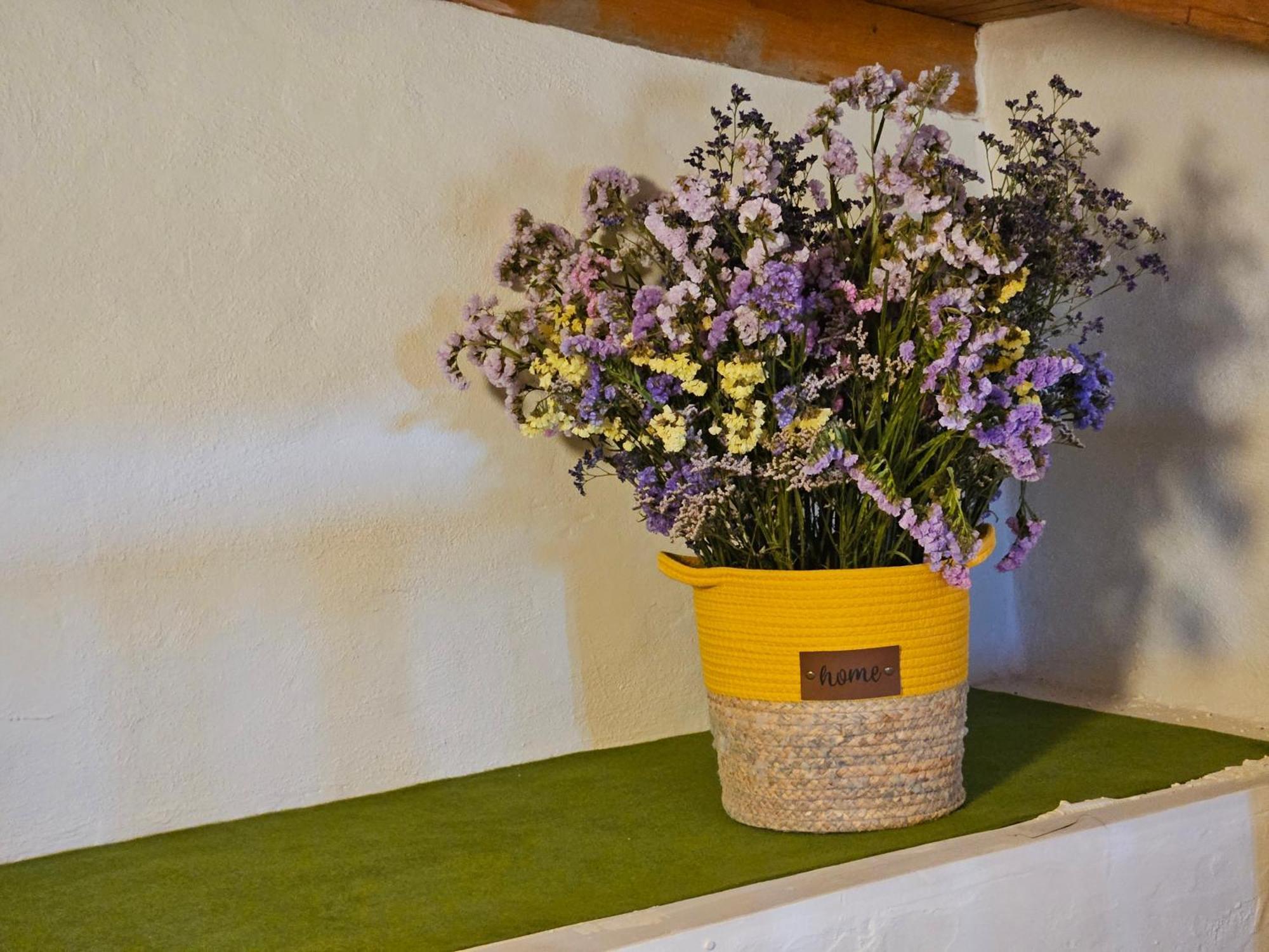 Casa Roque Holiday home Garachico (Tenerife)